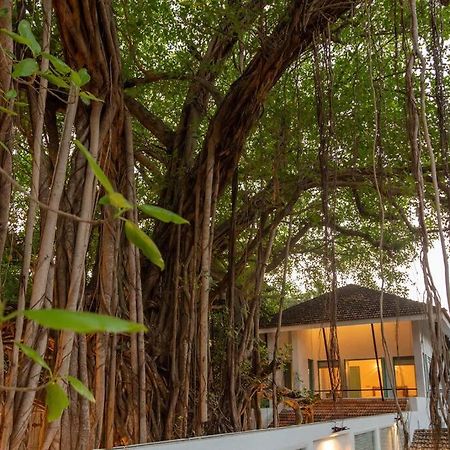 White Banyan Beach Villa, Candolim By The Acacia Villas 외부 사진