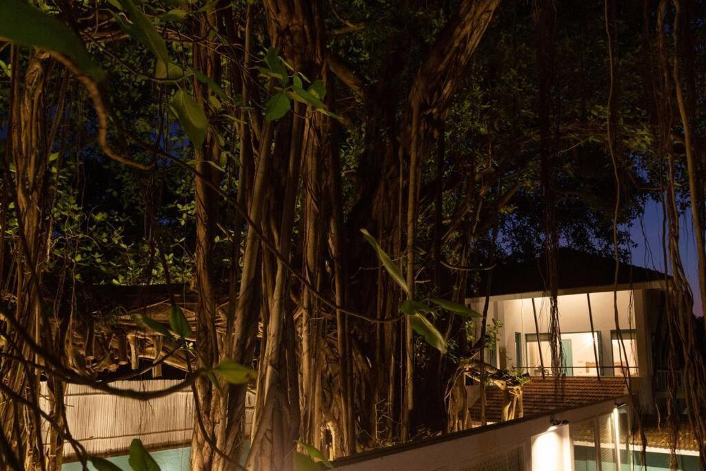 White Banyan Beach Villa, Candolim By The Acacia Villas 외부 사진