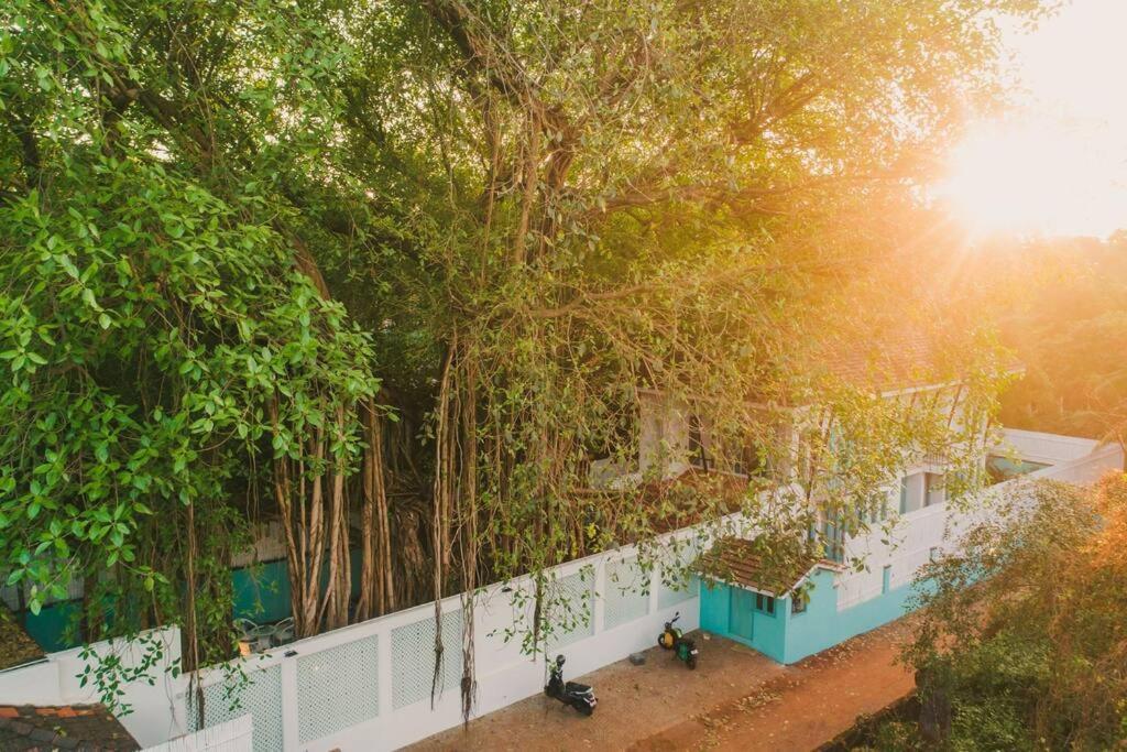 White Banyan Beach Villa, Candolim By The Acacia Villas 외부 사진